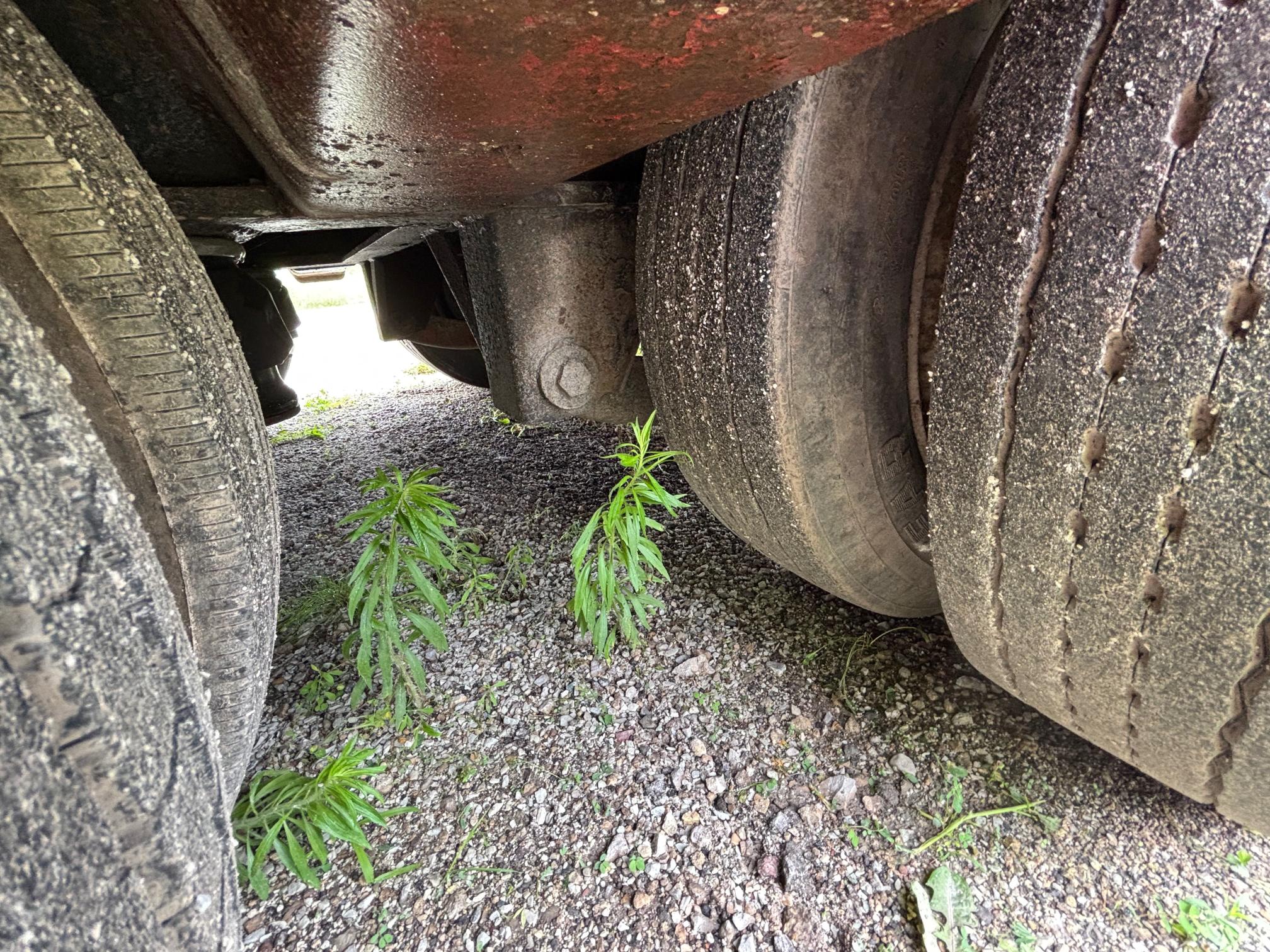 1998 LOAD KING 554 DFP - Image 27